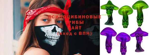 меф Богородицк