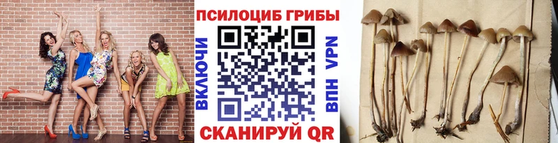 Галлюциногенные грибы ЛСД Купить Ельня